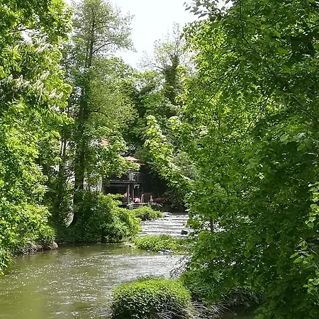 Im Hain * Bamberg